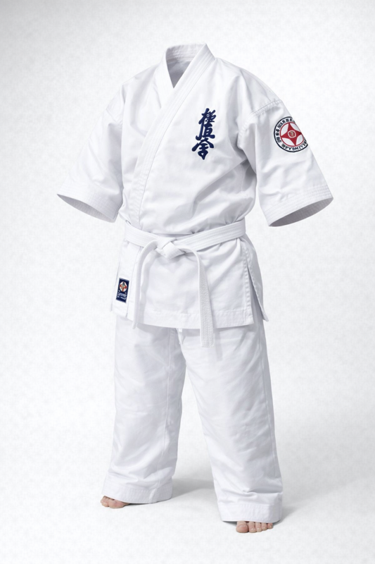 بدلة كيوكشن الاصليه(ساده)